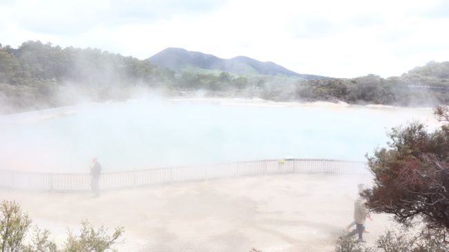 Tag 9 Wai-O-Tapu Thermal Wonderland