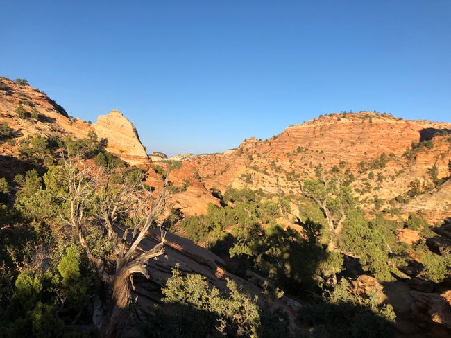 Day 37 - Roadtrip to Zion National Park