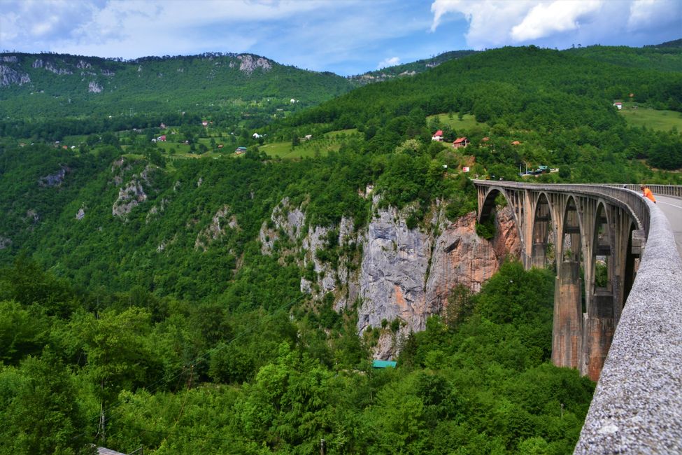 Ðurđevića-Tara-Brücke