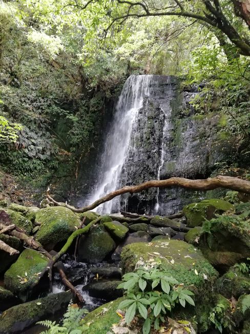 Matai Falls 2