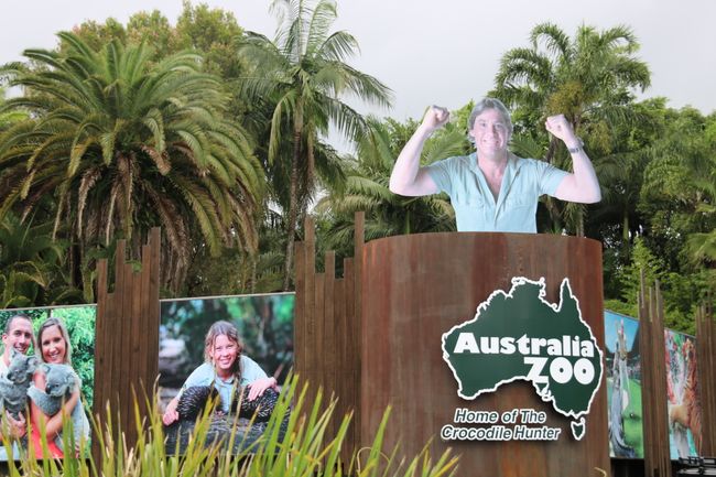 Australia Zoo - Wer kennt ihn noch, den Crocodile Hunter: Steve Irwin