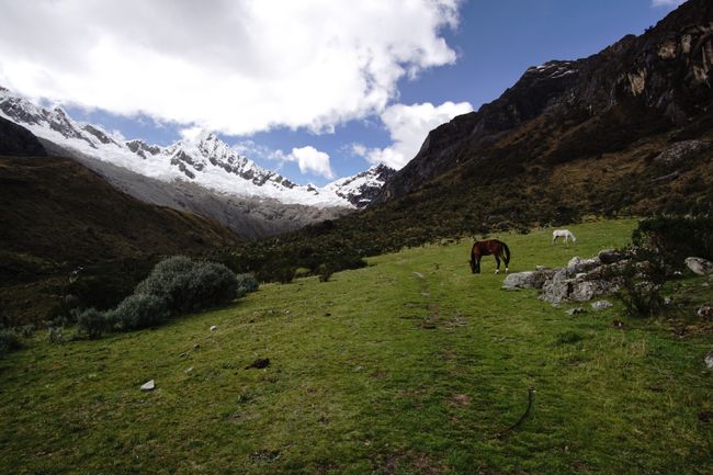 Huaraz - Wandern im Nationalpark Huascarán
