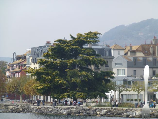 Lavaux Terrace