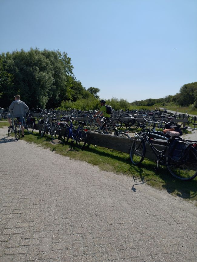 Day 24: Schiermonnikoog - Holwerd (22 km)