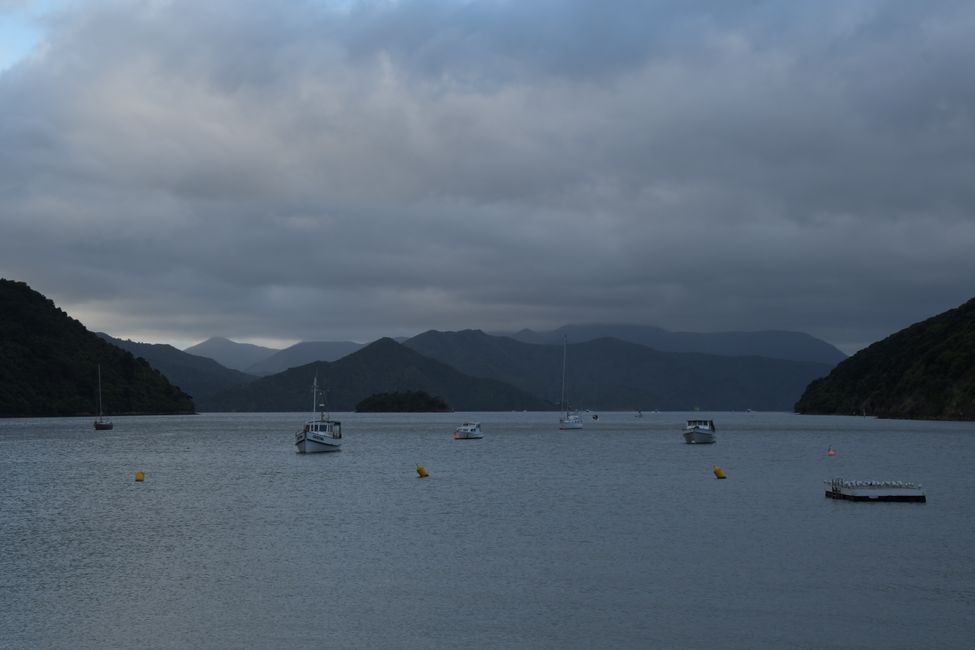 Picton - Farewell to the South Island
