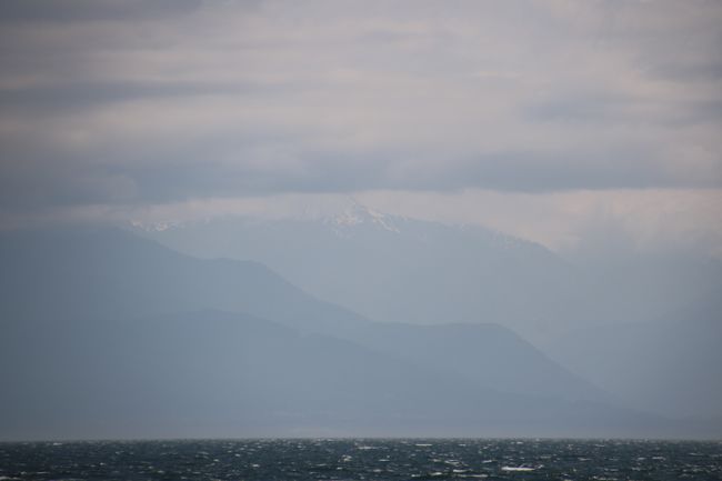 wer genau hinsieht, kann die schneebedeckten Gipfel der Olympic Mountains erkennen