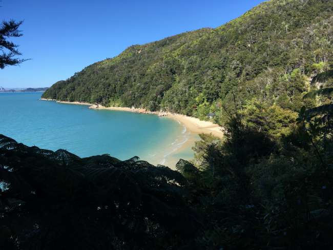 View from the Abel Tasman hiking trail on one of the bays