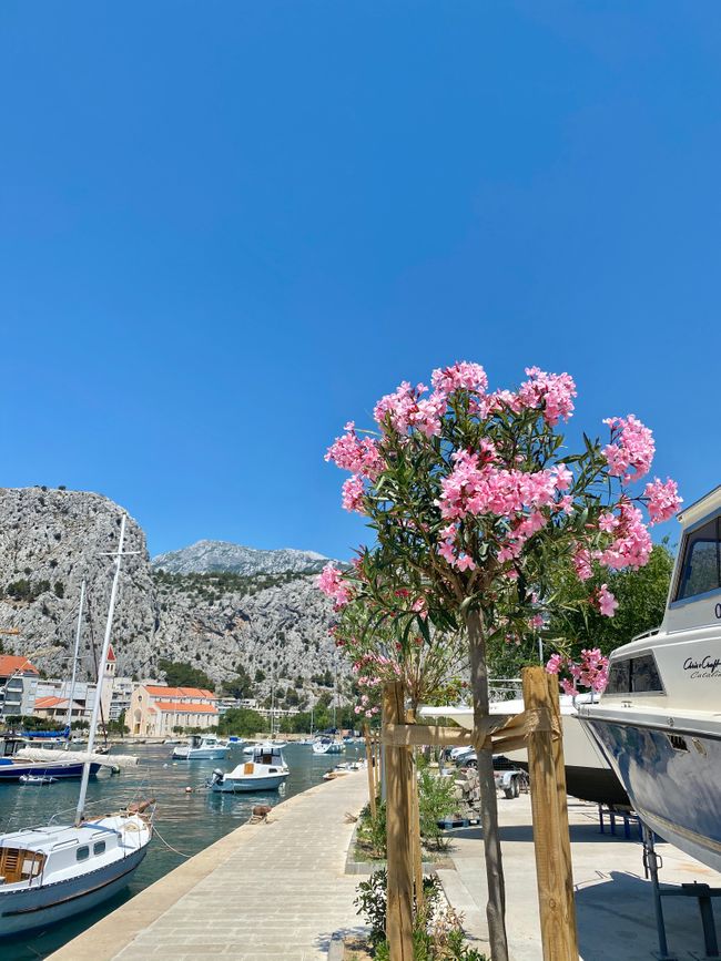 Dubrovnik Parte 2