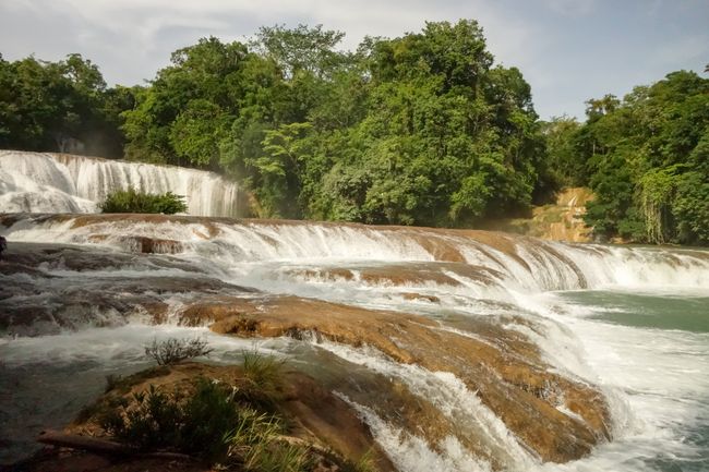 The tour to Palenque starts with a stop at Agua Azul.