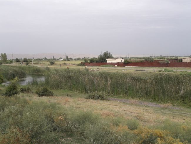 farm south of Mingachevir
