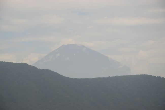Blick auf Fuji-san von der Seilbahn aus