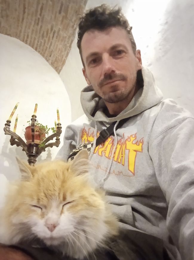 Selfie mit Hostel-Katze