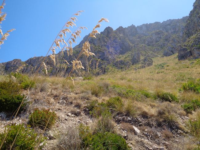 Riserva naturale della Monte Cofano