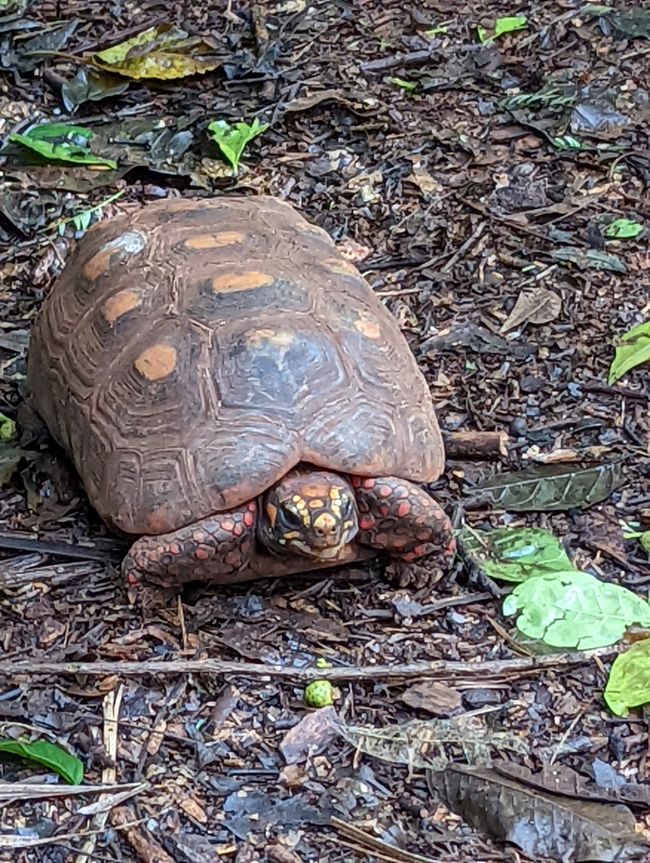 07.06.2022 - Vogelpark und Wasserfälle