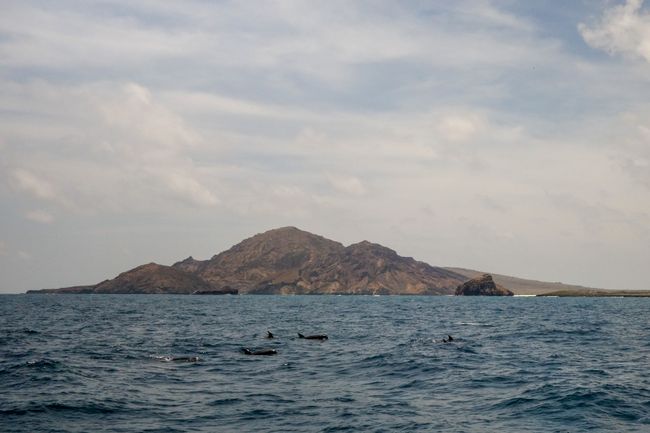 Ecuador - Galapagos: Isabela und San Cristóbal