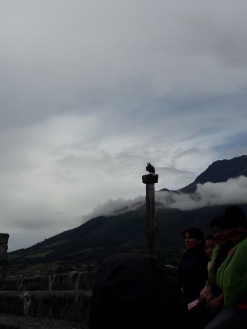 Trip to Otavalo