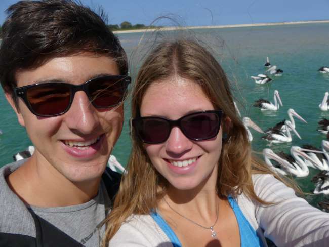 Selfie with pelicans