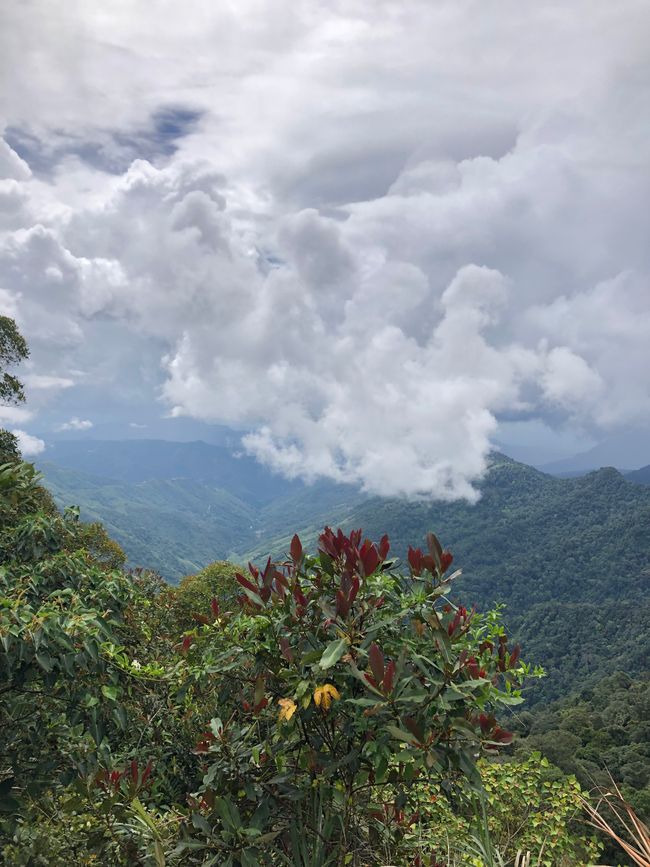 🇲🇾 Kundasang in Borneo ⛰️ Mount Kinabalu
