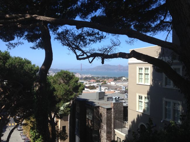 Bay West: San Francisco & Berkeley
