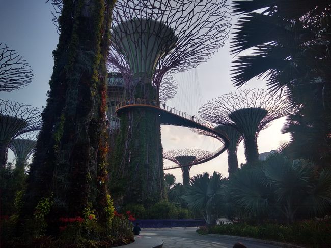 Singapur: Architektur und Shoppingmalls