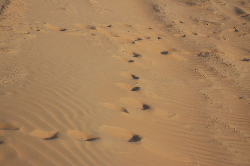 Day 12 (2015) Abu Dhabi - Desert - Hatta - Dubai