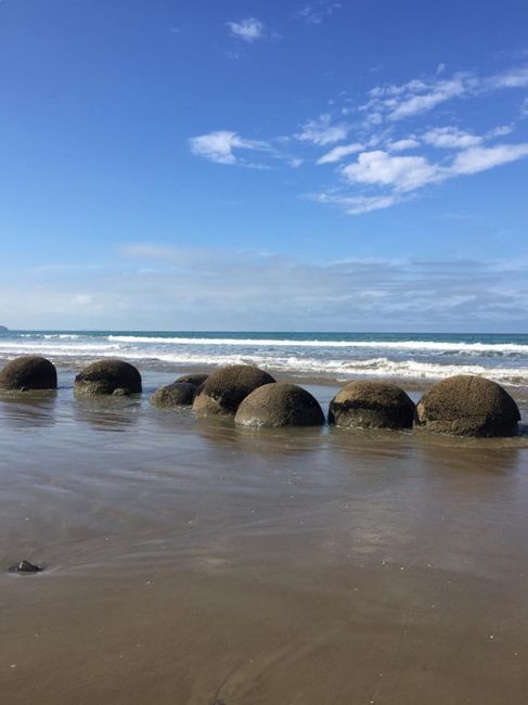 No giant rum balls, but million-year-old stones - Moeraki Boulders ⚫️