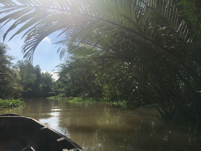 Traveling in the Mekong Delta & visiting a floating market