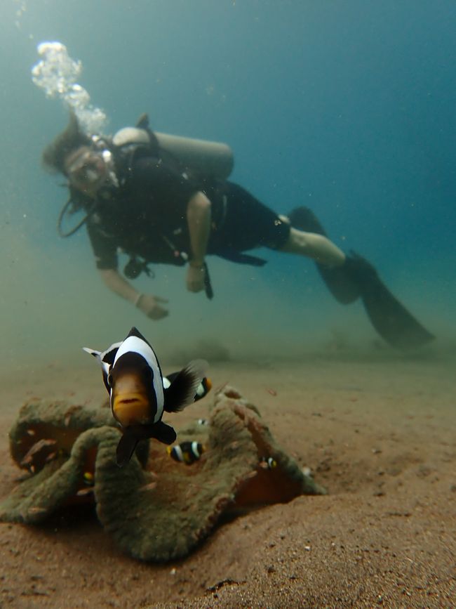 Open water diving course