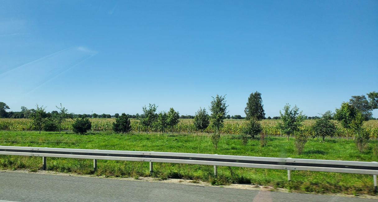 North European Plain seen from the car
