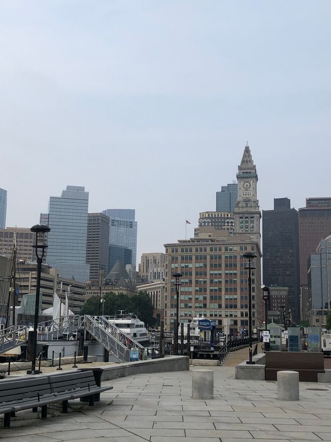 Boston (kit tomoshasi)