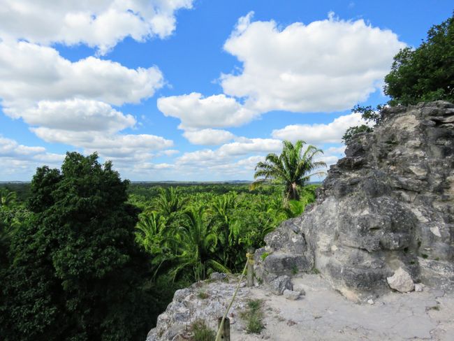 Die Maya-Ruinen von Lamanai
