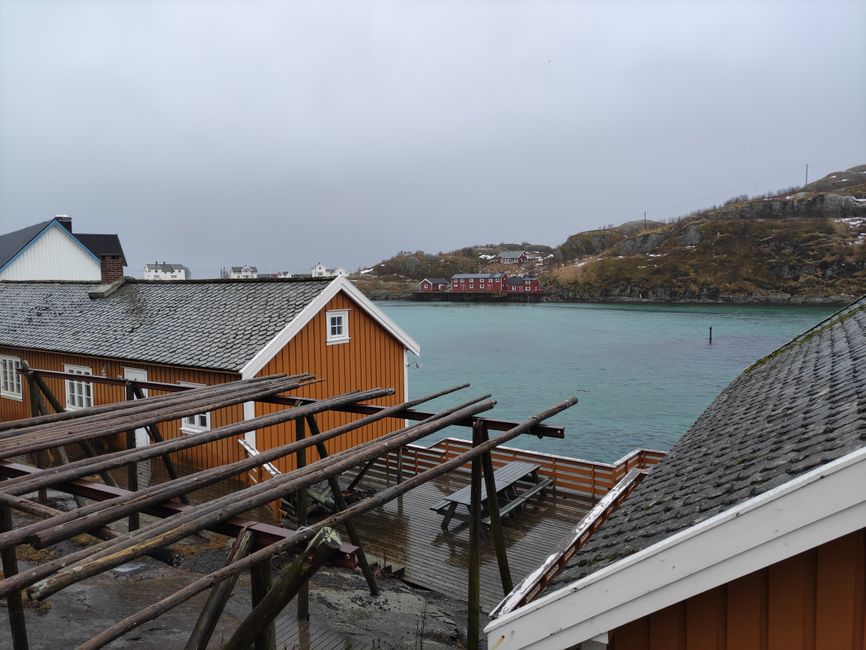 Reine - traditionelle gelbe norwegische Häuser