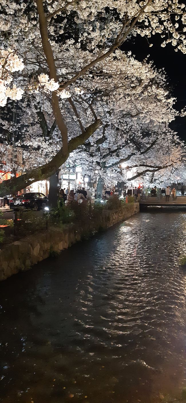 Nächster Stopp - Osaka und der erste Tag in Kyoto