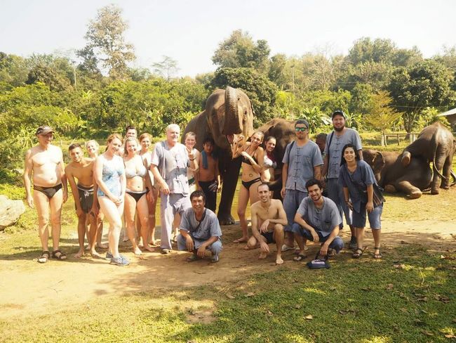 A day with Elephants