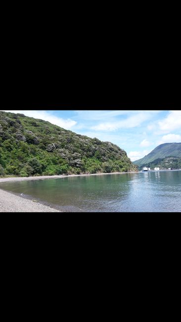 鲍勃湾