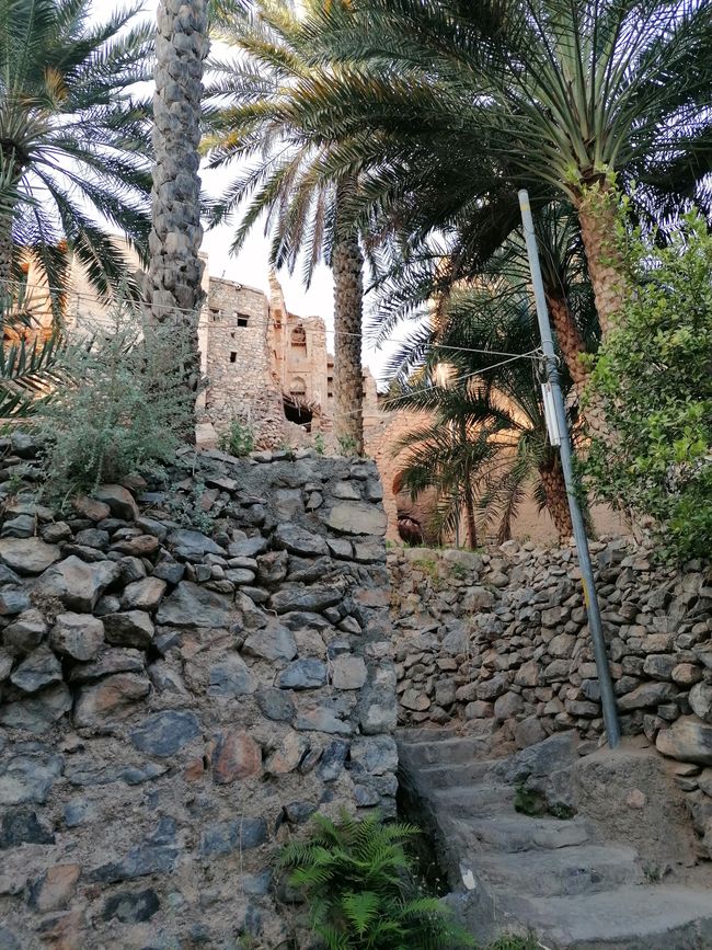 عمان، شهر قدیمی نیزوا و با دوستان