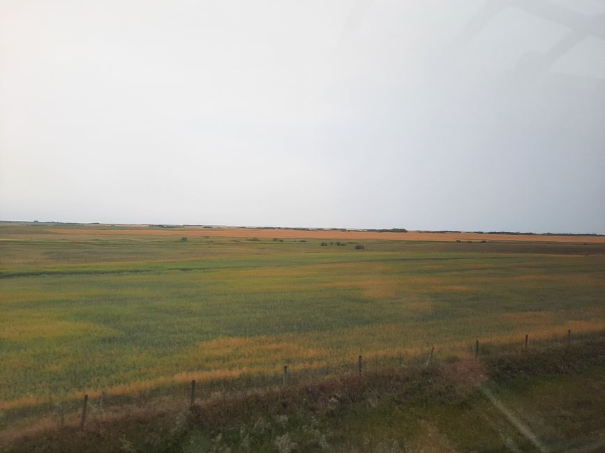 Back on/on the train! A road to Edmonton through the prairies