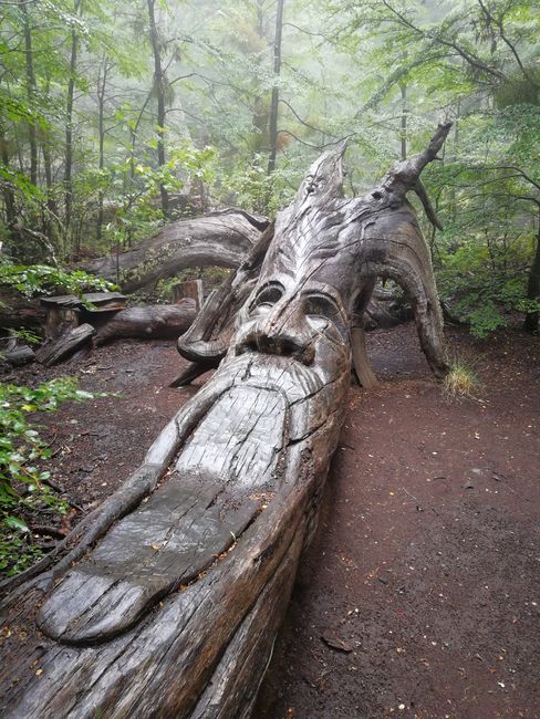 Carved goblin in tree trunk