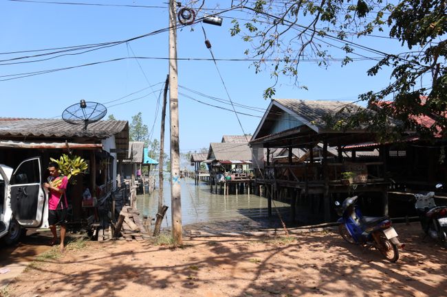 A village on stilts.