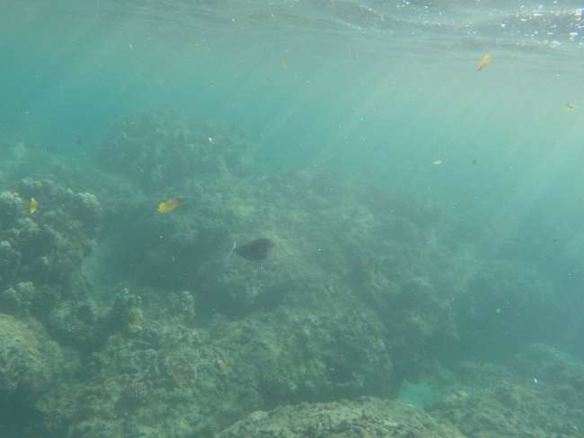Unterwasseraufnahme vom Hanalua Beach