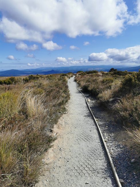 Motutere-Tongariro Alp kesişmesi-Taupo-Wai O Tapu-Okareka köli