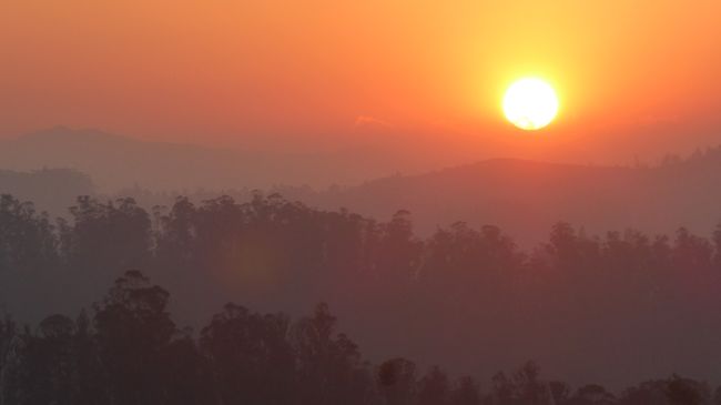 Sonnenuntergang in den Nilgiris