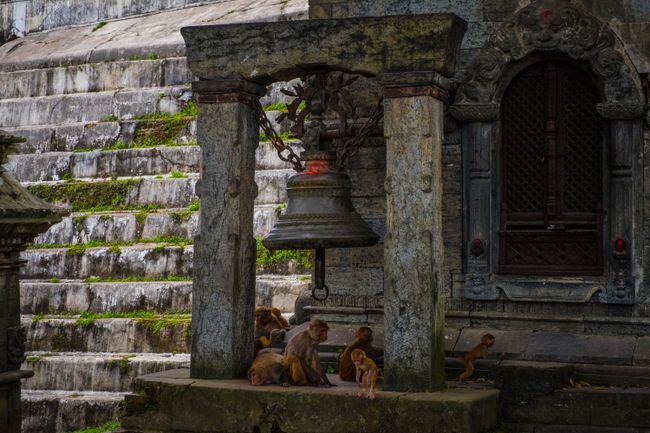Nebenschauplatz im Pashupatinath-Tempel.
