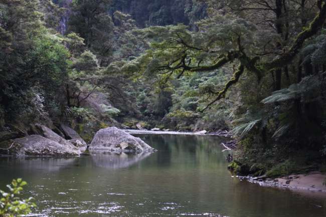 Hallo Punakaiki