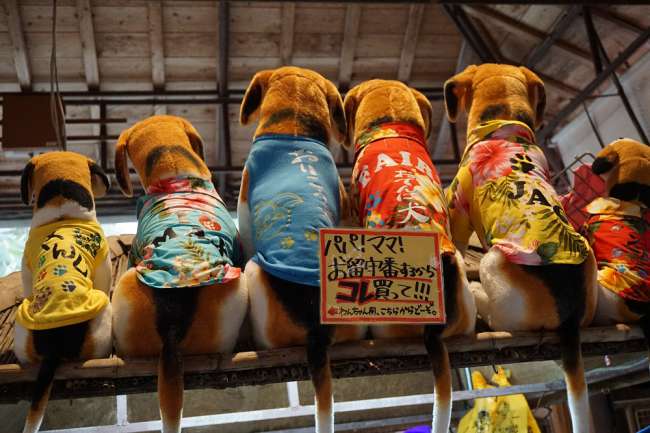 Hunde  in japanischer Kleidung