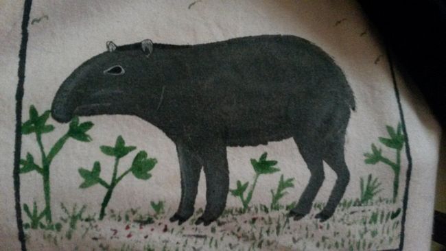 DiE Fußspuren des Tapirs sahen wir oft auf dem Trekking Weg im Regenwald 