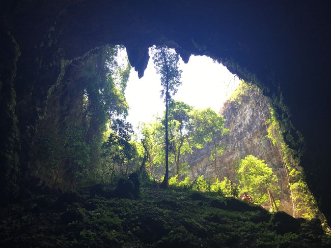Jomblang Cave, Yogyakarta