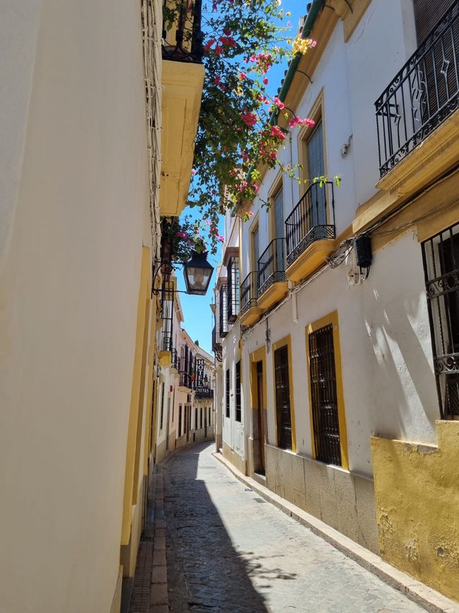 Alleys in Córdoba.