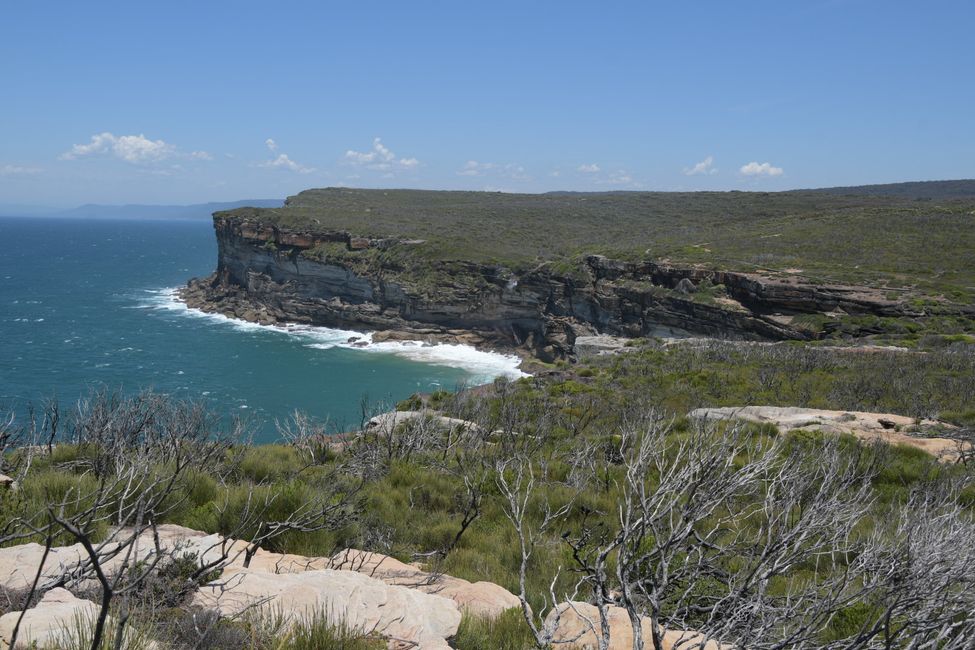 In the Royal National Park