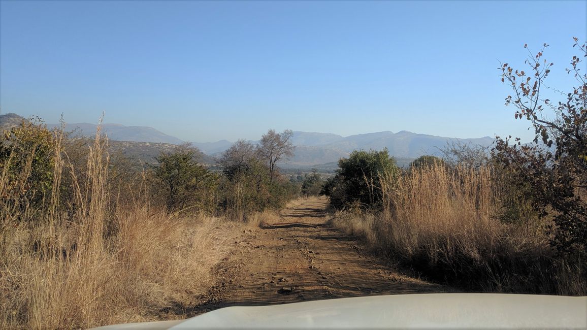 Day 9: From Pilanesberg NP to Kololo Game Reserve